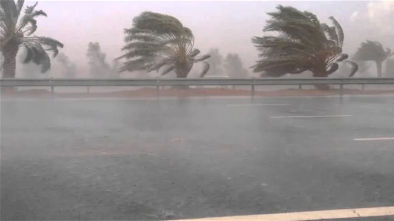 محافظ سوهاج يصدر توجيهات لمواجهة موجة الرياح والأتربة التي تضرب المحافظة